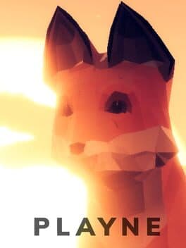 Cover art for Playne