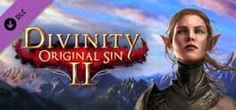 Cover art for Divinity: Original Sin 2 - Divine Ascension