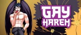Cover art for Gay Harem