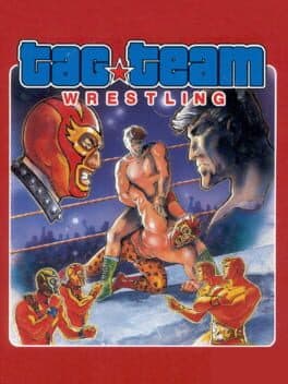 Cover art for Tag Team Wrestling