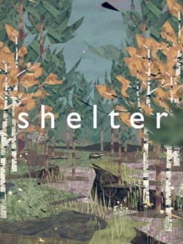 Cover art for Shelter